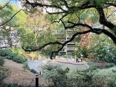 -香港大学