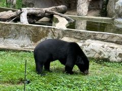 -清迈夜间动物园