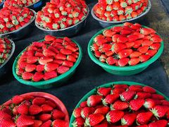 -西郊国际农产品交易中心