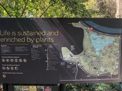 -墨尔本皇家植物园