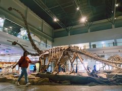 -自贡恐龙博物馆