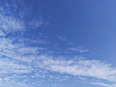 -金海阁海鲜火锅