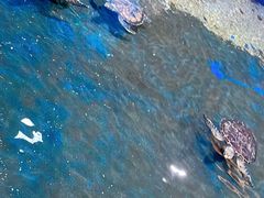 -邯郸海洋世界