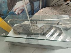 -中国地质大学逸夫博物馆
