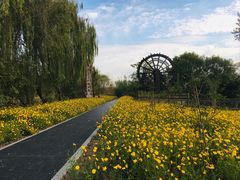 -溱湖国家湿地公园