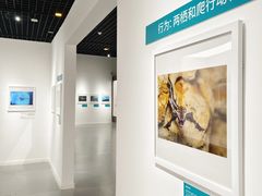 -浙江自然博物院(杭州馆)