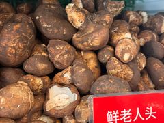 -太婆天府山珍酒楼(亚运村店)