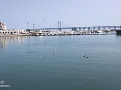 -大连圣亚海洋世界