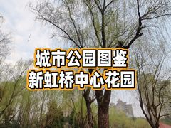 -新虹桥中心花园