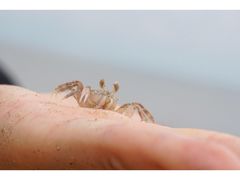 -嵊泗基湖沙滩