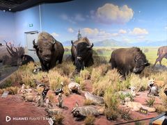 -陕西自然博物馆