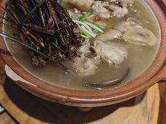 -头上红煨盐鸡·非遗院子餐厅