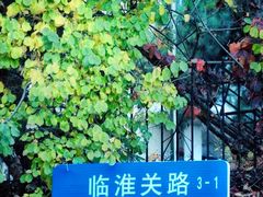-八大关景区