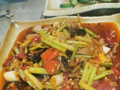 -青城甲(青城山店)