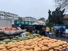 -山东省青岛第二中学(江西路分校)