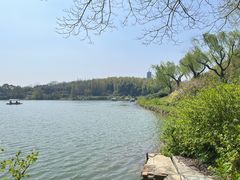 -宜兴龙背山森林公园