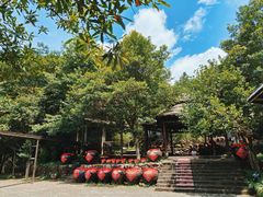 -姑婆山旅游区