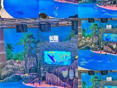 -珠海长隆海洋王国