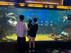 -烟台海昌鲸鲨海洋公园