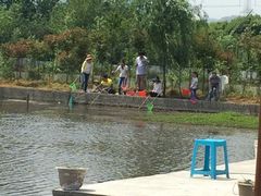 -同銮特种养殖场·龙虾垂钓