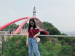 -金鸡山公园