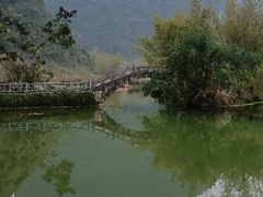 -靖西鹅泉风景区