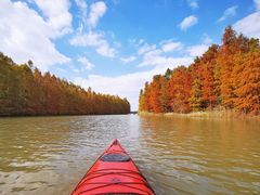-上海海湾国家森林公园