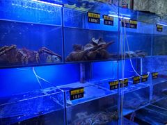 水产区-金龙·打边炉(武进路店)