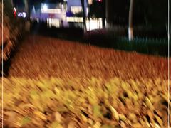 -海鸿荟·沿江菜(中山北路店)