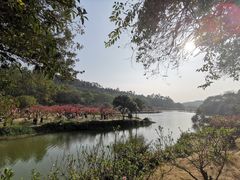 -南国桃园旅游度假区