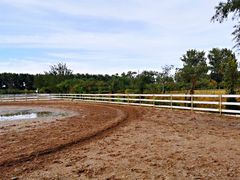 -月河湾马术俱乐部(朝阳店)