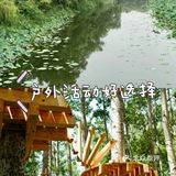 9.9就可以体验的超值户外运动乐园