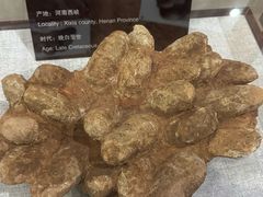-中国西峡恐龙遗迹园