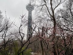 -南京古林公园