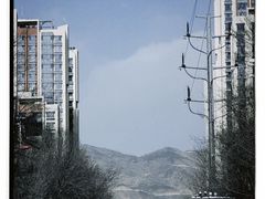 -西宁市东关清真大寺