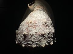 -深圳珠宝博物馆