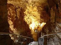 -怀托摩萤火虫洞