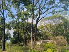 -云溪植物园