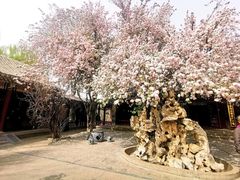 -荣国府