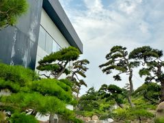 -罗红摄影艺术馆