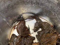 -周记老沈阳焦火鸡架