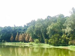 -福建鲤鱼洲酒店