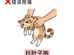 -瑞鹏宠物医院·骨外科·心肾科·肿瘤科(九亭店)