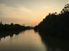 -大湾区中央湿地公园