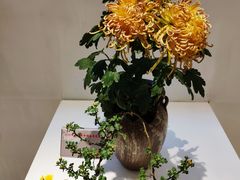 -汇龙潭