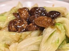 -万年酒楼(越秀南路店)