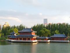 -雁滩公园