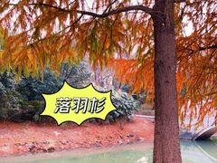 -石湖景区