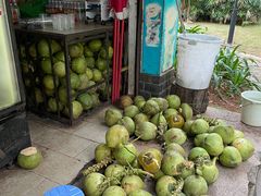 -白沙门生态公园