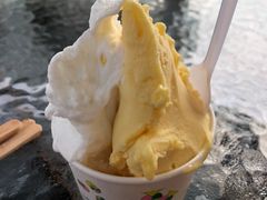 -柠檬车露(卖草地店)
